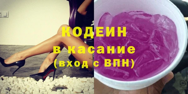 индика Армянск